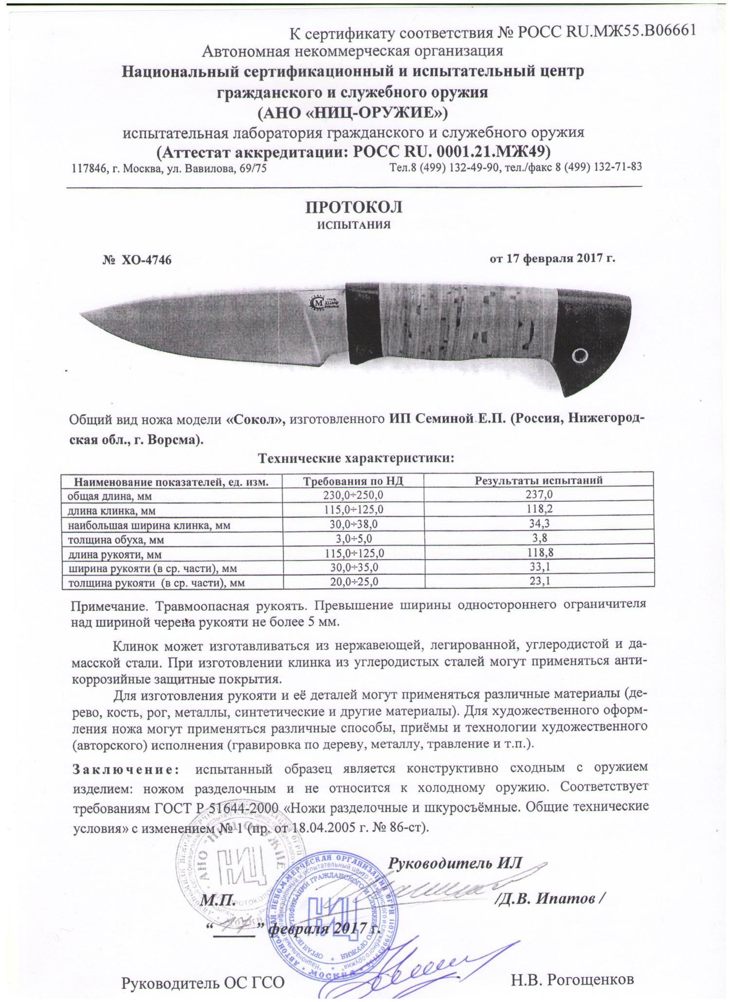 сокол сокол.jpg
