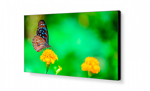 Интерактивная LED панель NEC MultiSync UN492S