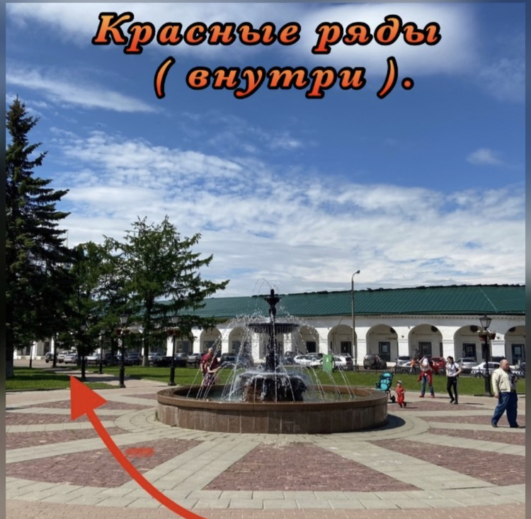 IMG_8481.jpg