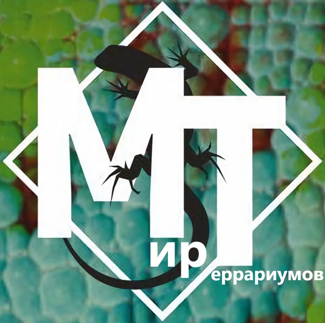 Мир террариумов