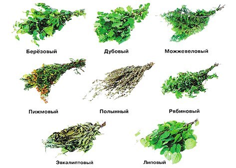 Венички для бани - Домашний очаг - Портал - Allrussian Board Русскоязычный форум в Германии