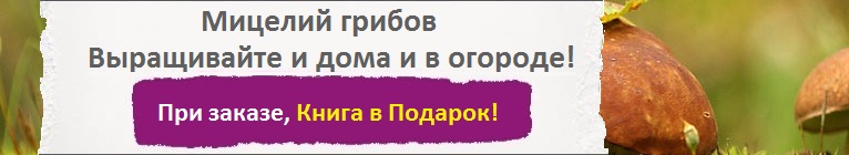 Купить Мицелий Грибов, цена низкая, доставка почтой наложенным платежом по России, курьером по Москве - интернет-магазин АгроБум