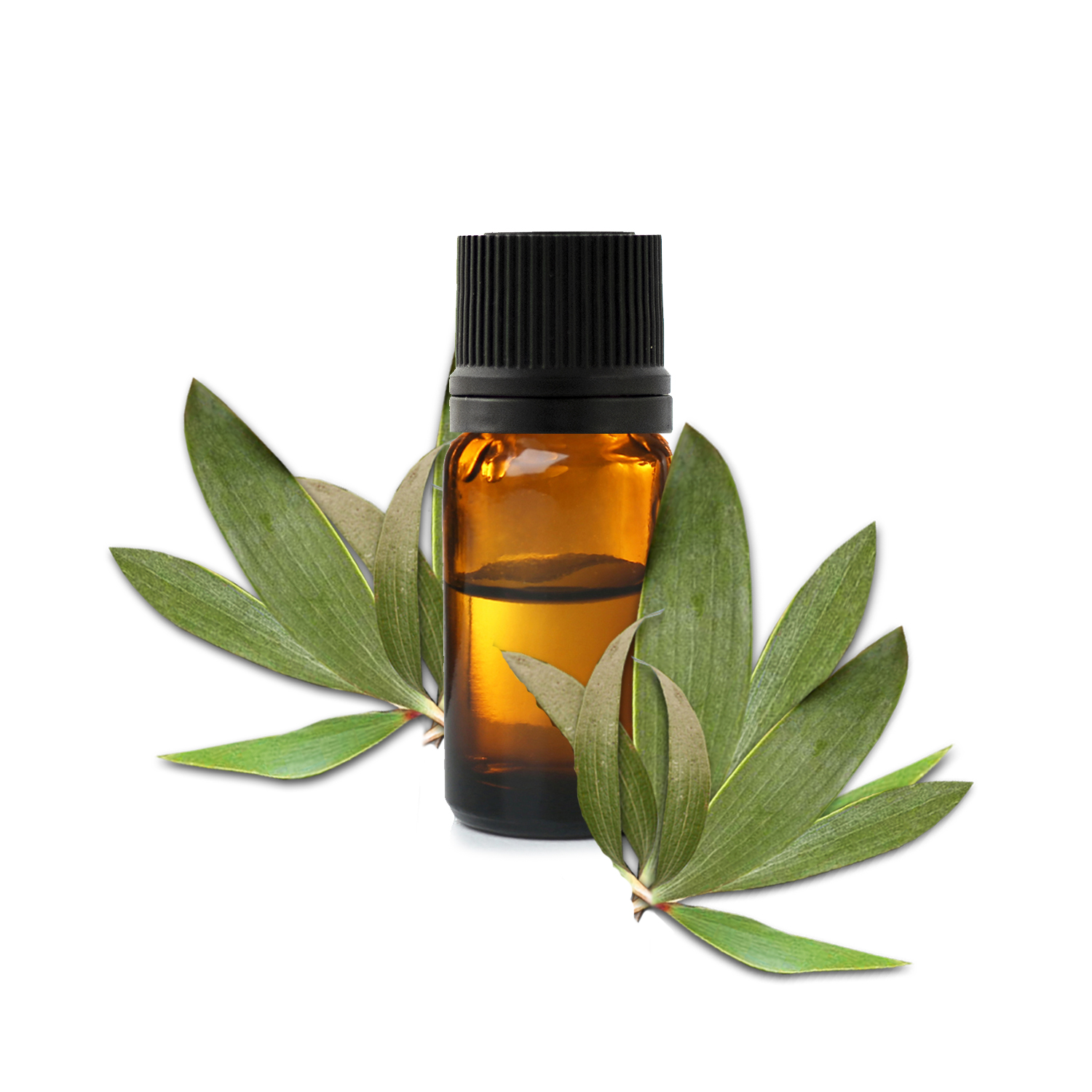 каяпут каяпут.jfif