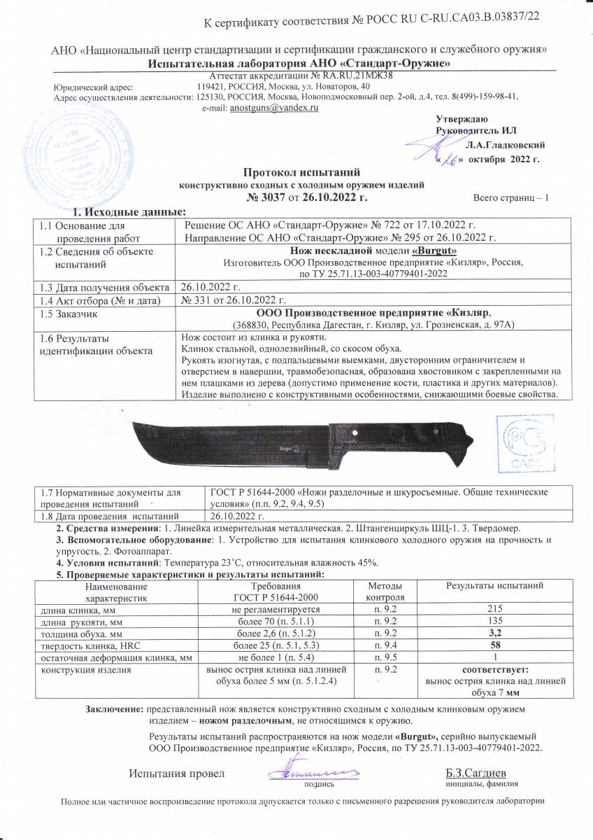 бургут бургут.jpg