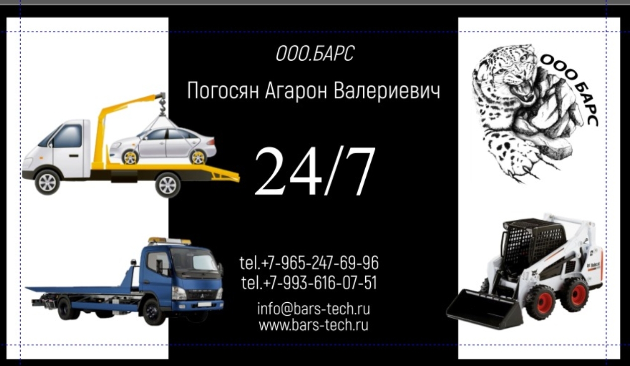 Барс