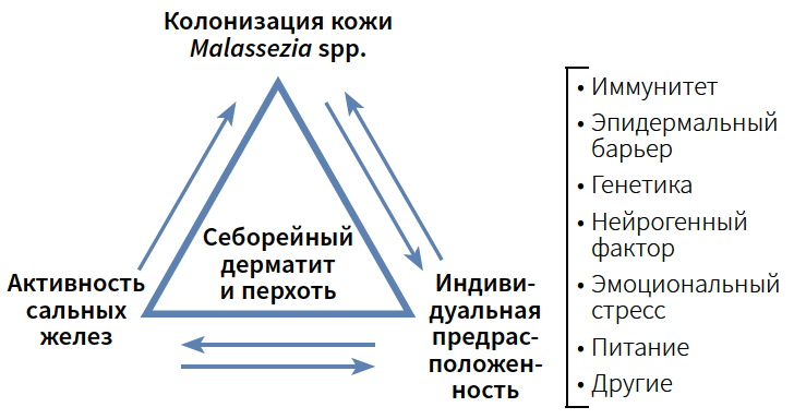 Турубара КМ 4-2024_Рис 1.png