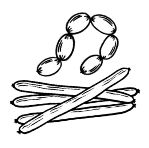 Новое направление