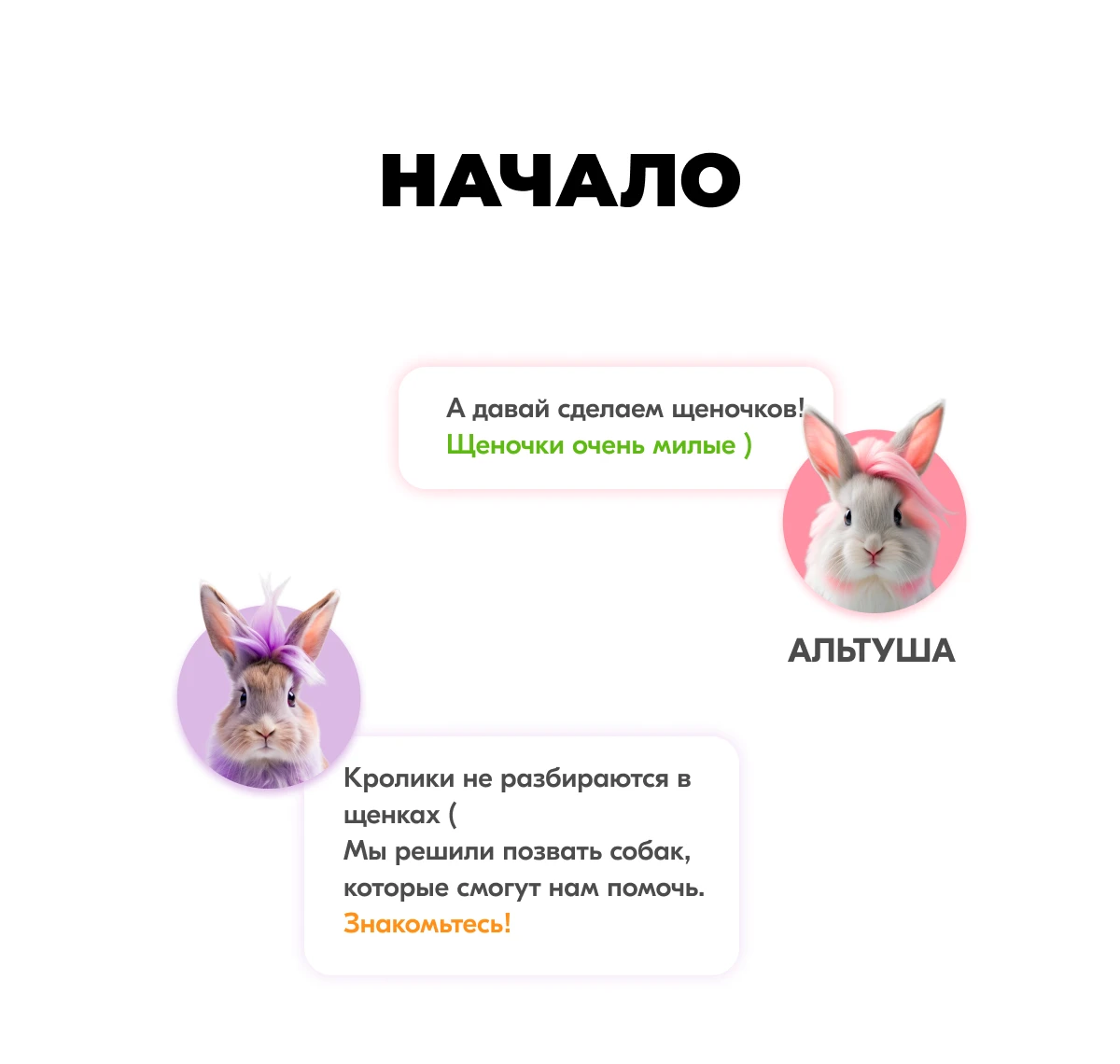 Карты Москвёнок DOGS - Функционал прохода в современном и красивом исполнении, которым приятно пользоваться каждый день
