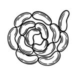 По Госту СССР 1938