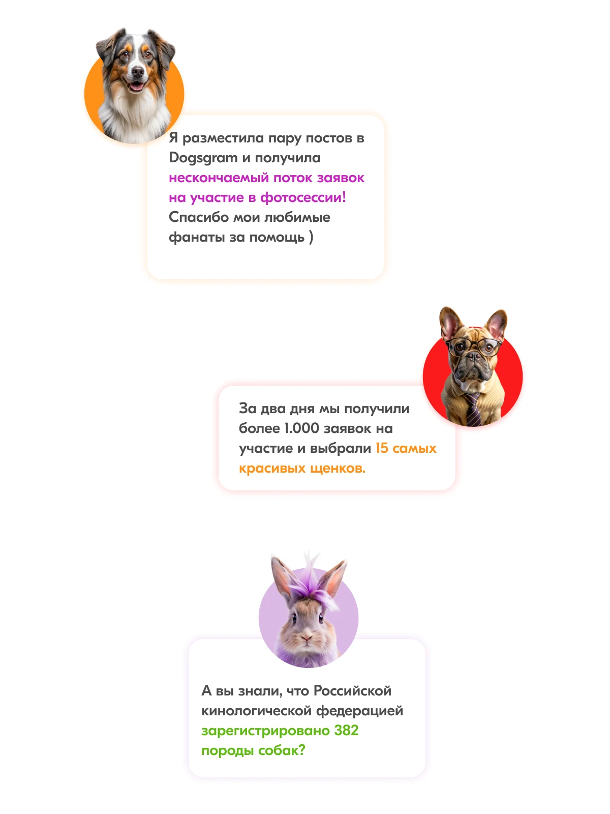 Карты Москвёнок DOGS - Карту с красивым дизайном ребёнок не забудет взять в школу