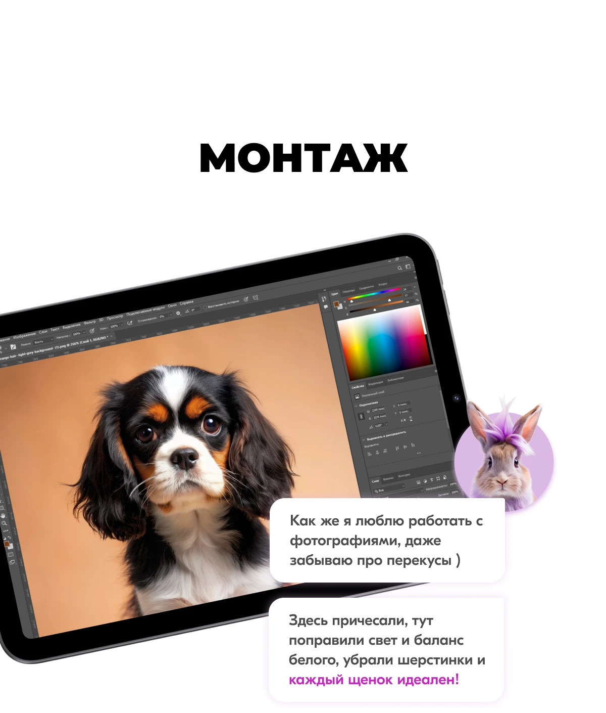 Карты Москвёнок DOGS - Впишите номер школы в регистры для нумерации, чтобы при утери карту смогли вернуть в школу