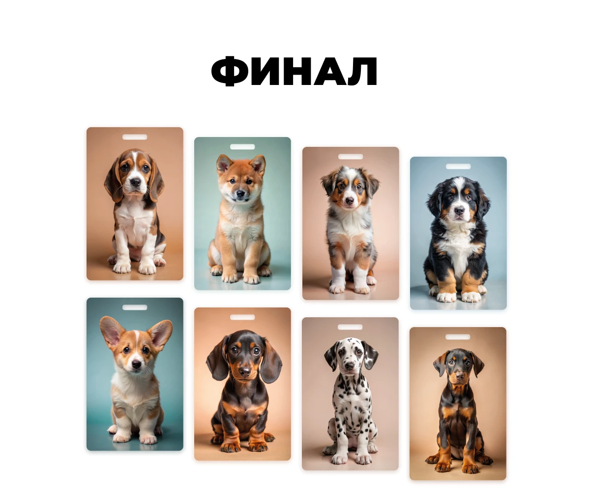 Карты Москвёнок DOGS - Карта DOGS может заменить читательский билет  и открыть бесплатный проход в московские музеи