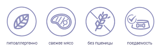Безымянный.png