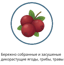 иконка1 (2) иконка1 (2).png