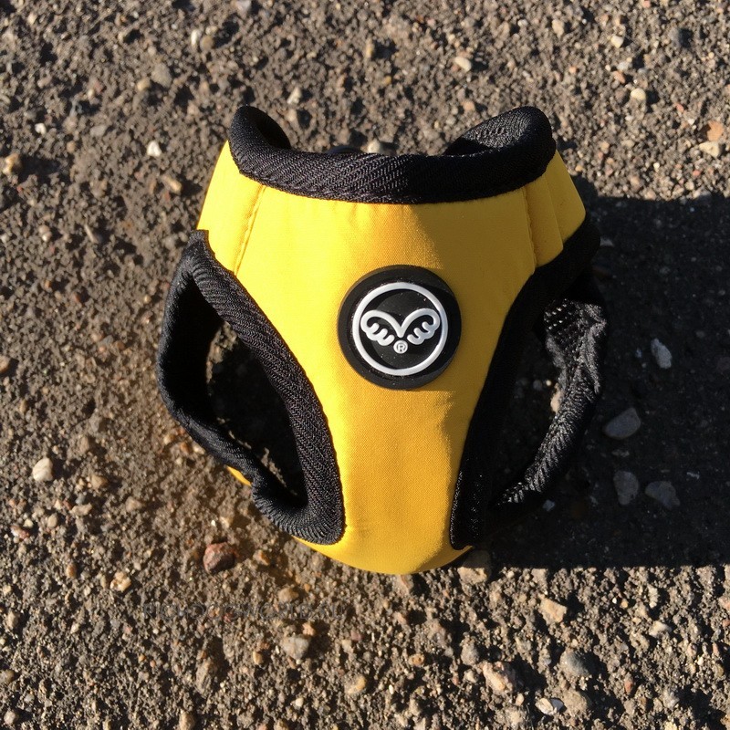 img_1386 img_1386.jpg