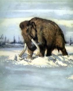 мамонт Легенды Сибири