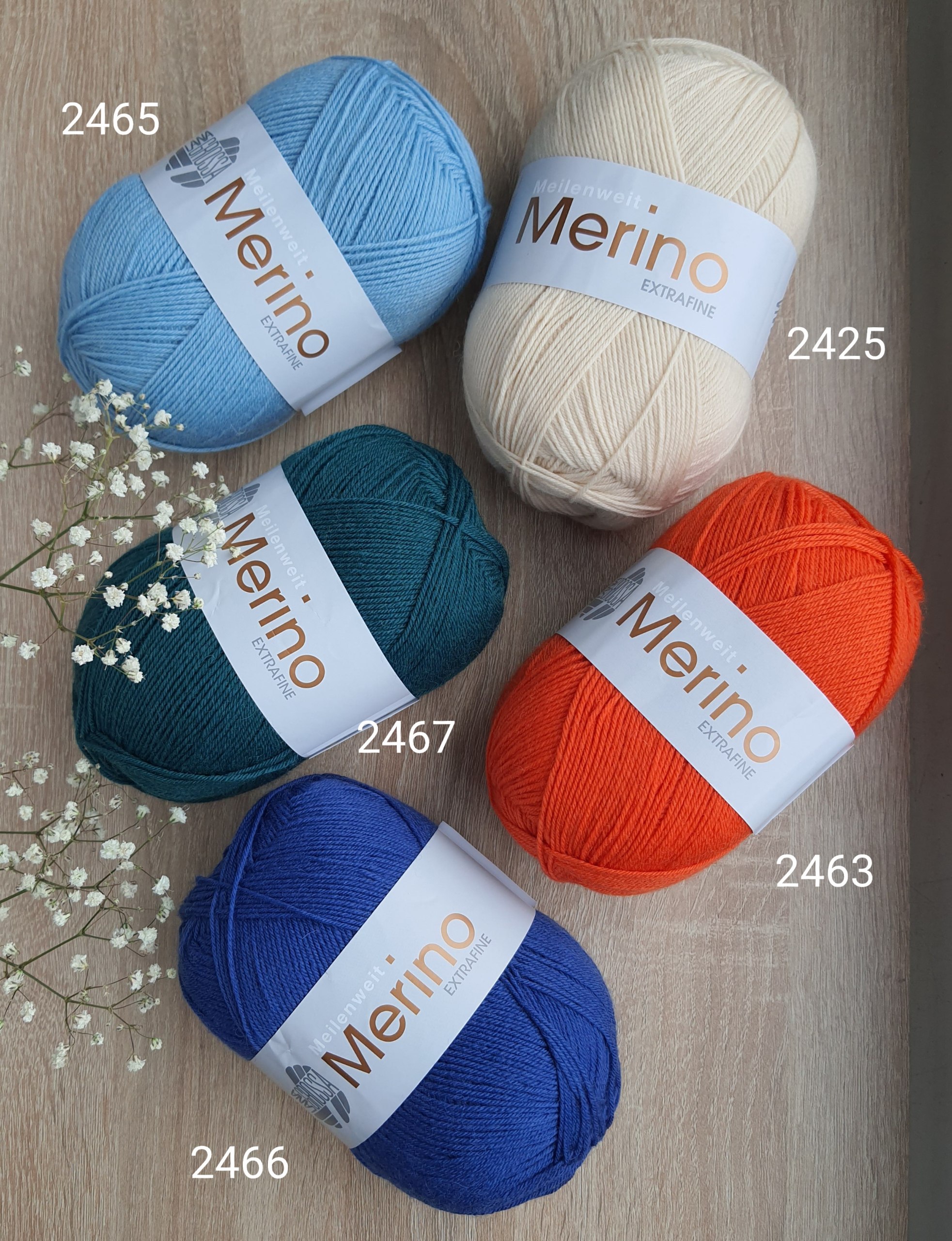 IMG_20251112_191559_108 IMG_20251112_191559_108.jpg