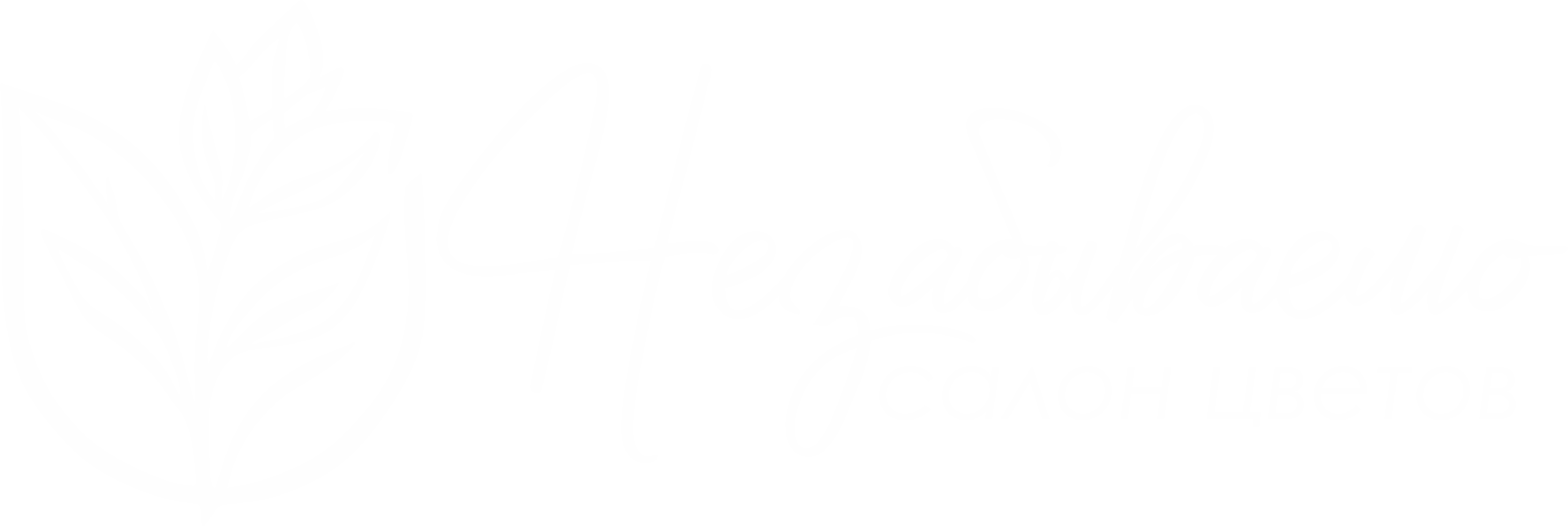 Салон цветов Незабываемо