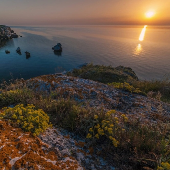 Казантипский заповедник