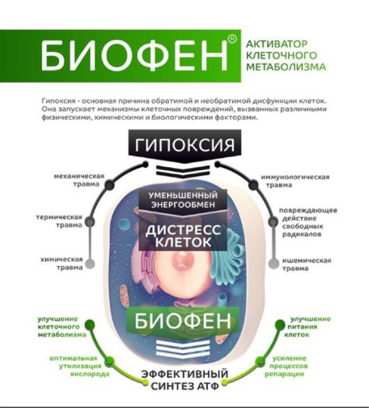 энергетика.jpg