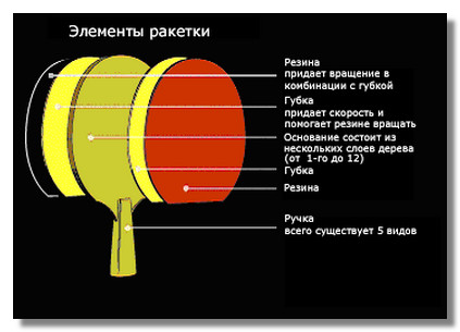чертеж теннисной ракетки для настольного тенниса. накладки для настольного тенниса 729 фокус. стороны ракетки для пинг понга. чем отличаются стороны ракетки для настольного тенниса. структура ракетки для настольного тенниса.