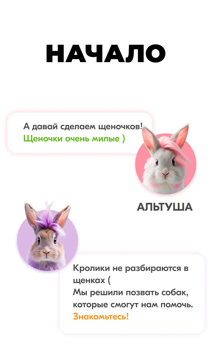 Карты Москвёнок DOGS - Функционал прохода в современном и красивом исполнении, которым приятно пользоваться каждый день
