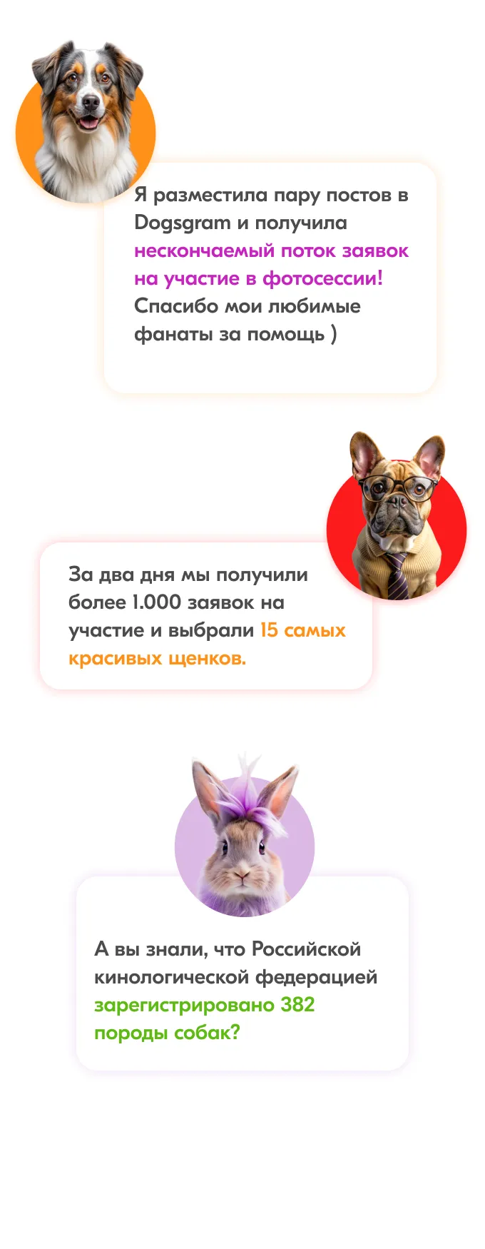 Карты Москвёнок DOGS - Карту с красивым дизайном ребёнок не забудет взять в школу