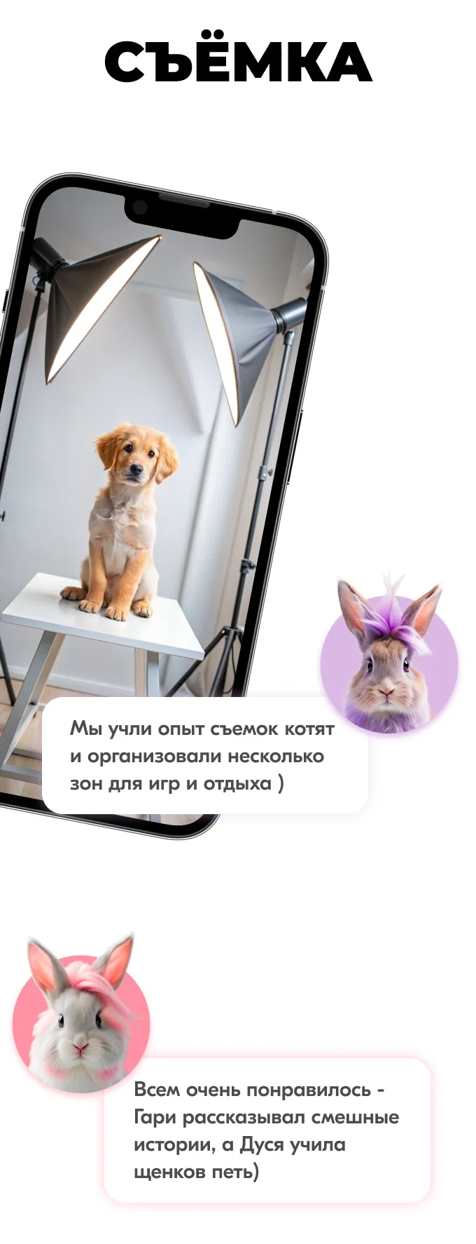 Карты Москвёнок DOGS - Удобное отверстие для крепления к ретрактору или ленте без чехлов и громоздких кармашков