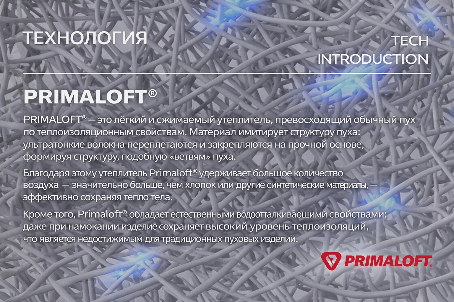 ChatGPT Image 20 янв. 2026 г., 16_10_59.png