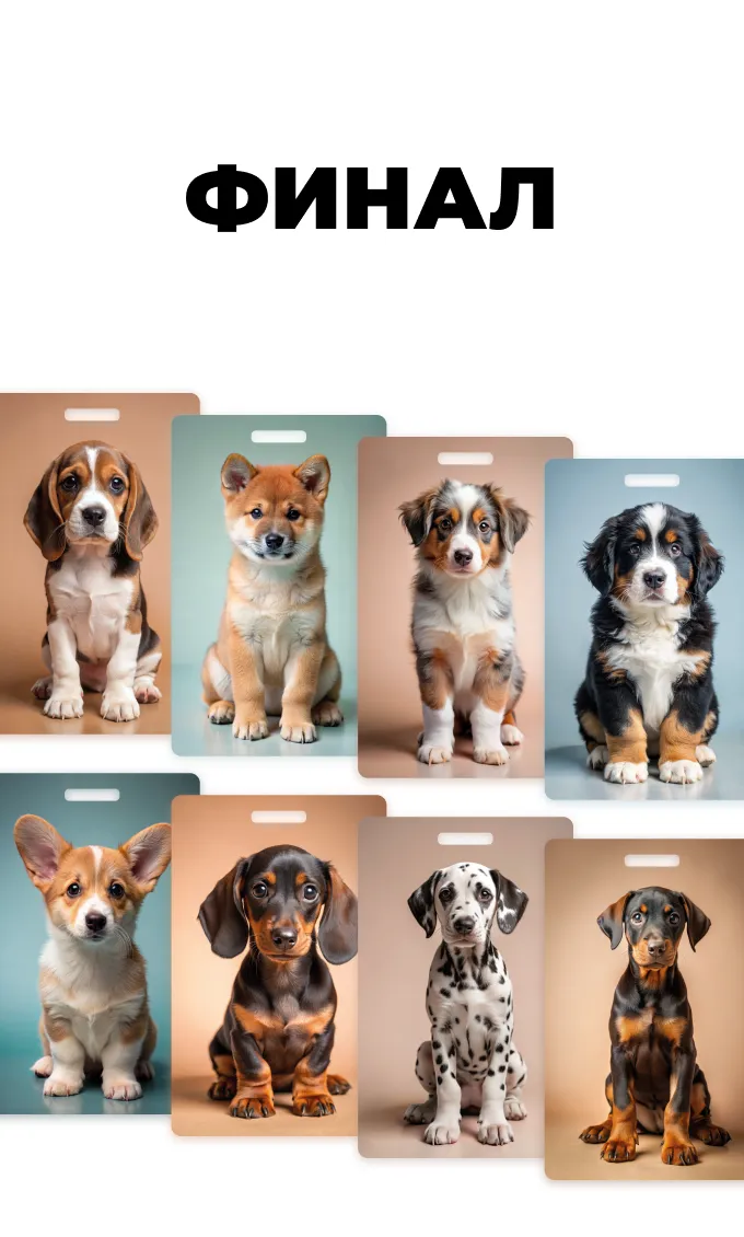 Карты Москвёнок DOGS - Карта DOGS может заменить читательский билет  и открыть бесплатный проход в московские музеи