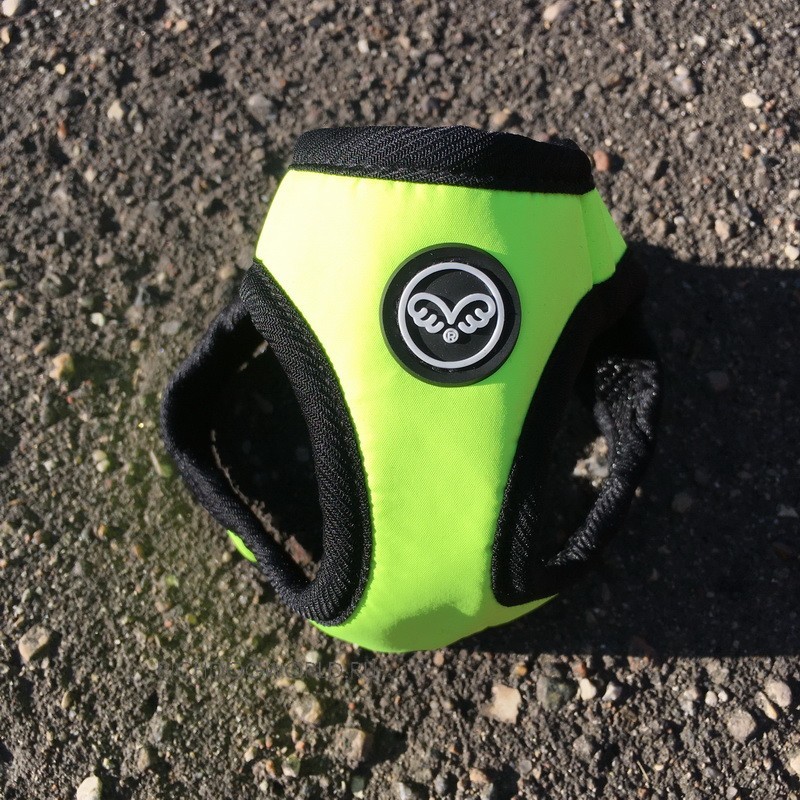 img_1388 img_1388.jpg