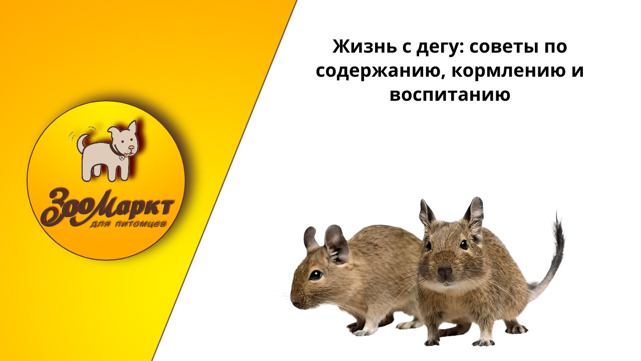 График работы.png