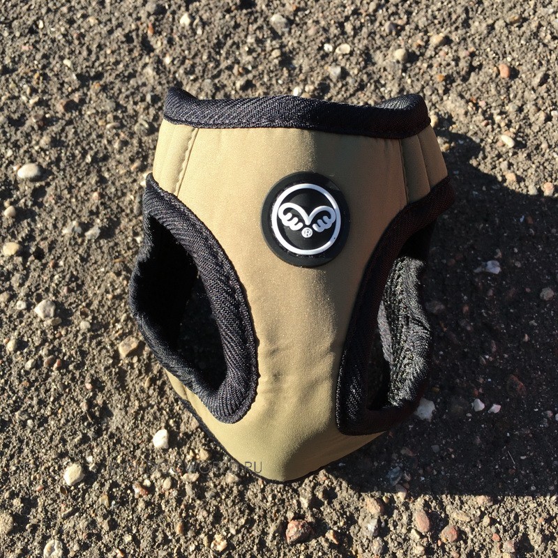 img_1391 img_1391.jpg