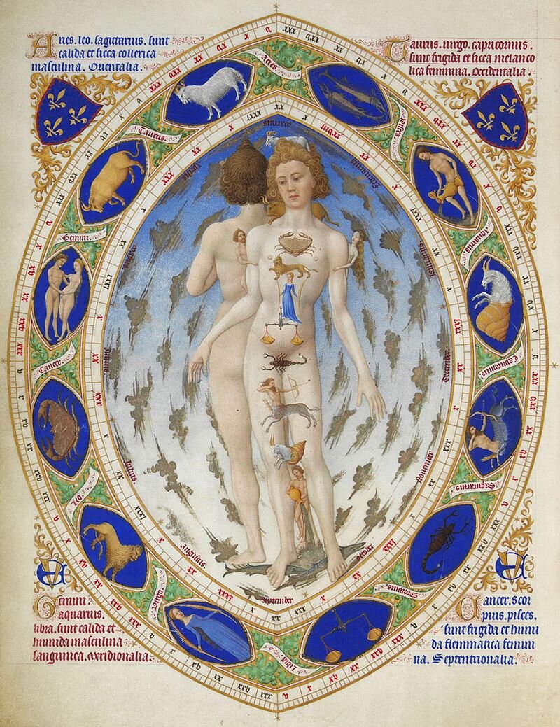 Anatomical Zodiac Man.jpg