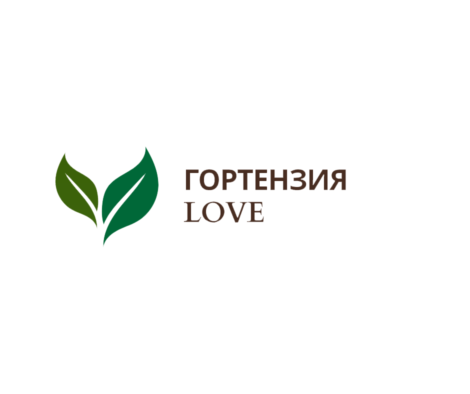 о гортензиях