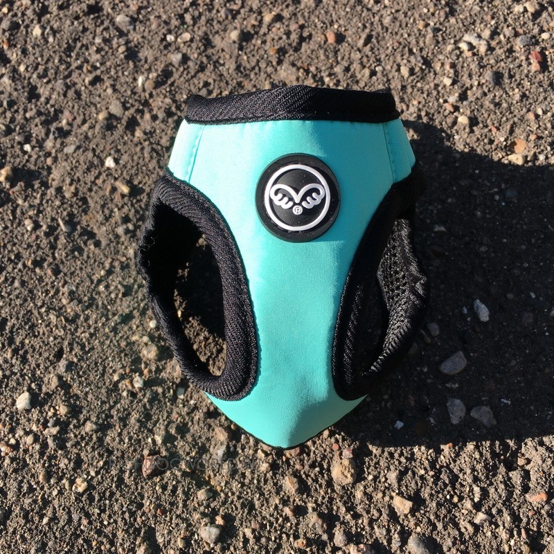 img_1385 img_1385.jpg