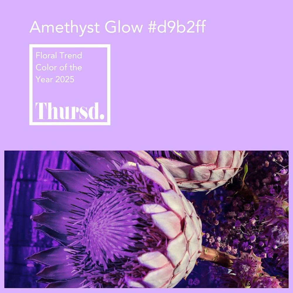 thursd — Amethyst Glow, цвет года 2025 аметист.jpg
