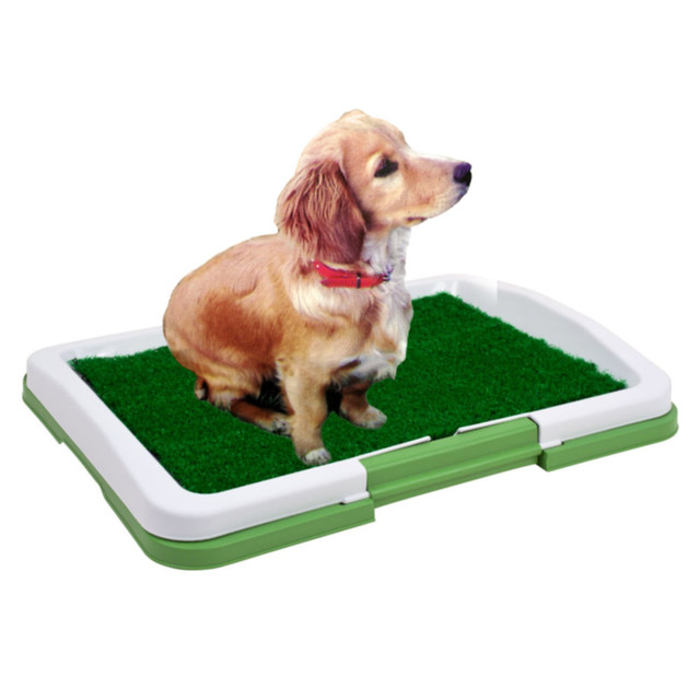  Puppy Potty Pad – лоток-травка для щенков и мелких домашних животных