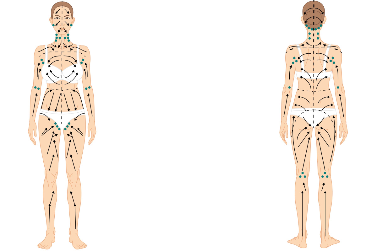 Лимфодренажный массаж схема. Лимфатическая система человека схема движения лимфы массаж. Схема направления движения лимфы в теле человека. Движение лимфы в организме человека схема массаж. Лимфатическая система массажные линии тела.
