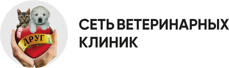 Сеть ветеринарных клиник 