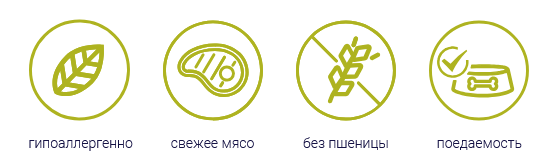 Безымянный.png