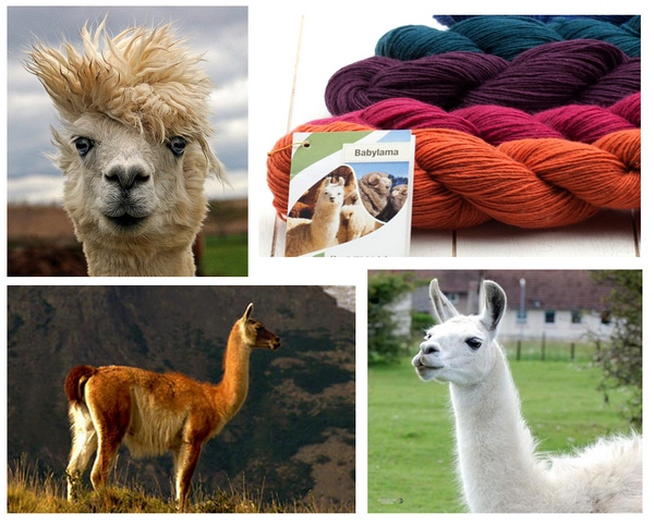 Lama_yarn.jpg