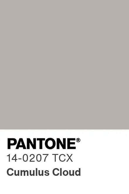 PANTONE 14-0207 TCX Cumulus Cloud — Облачный серый