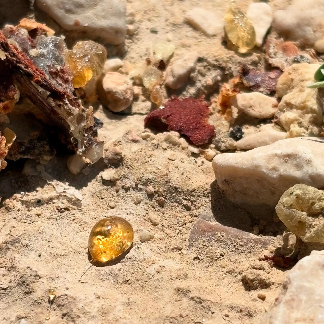 капля смолы из Омана капля смолы из Омана