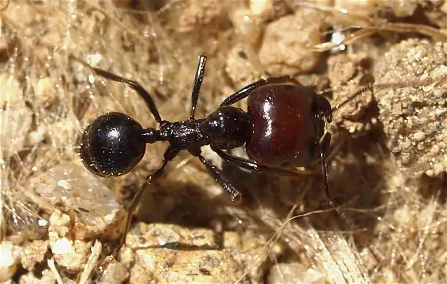 IMG_0017 IMG_0017.webp