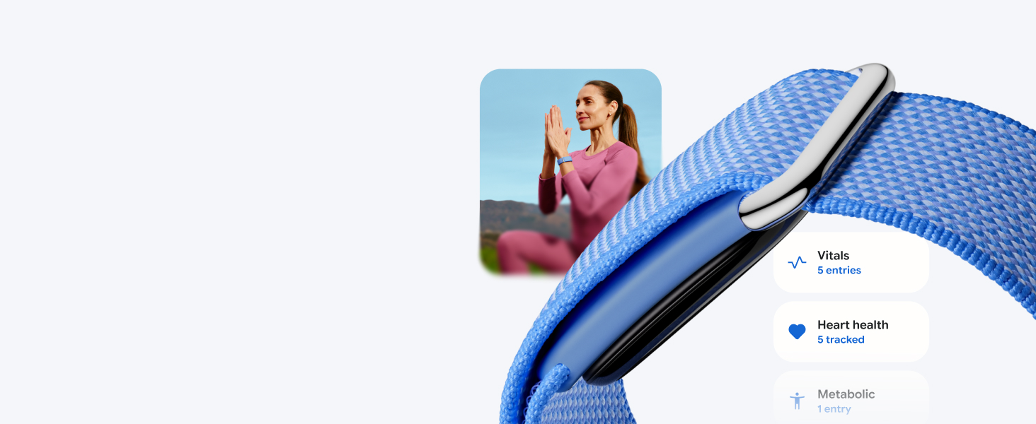 купить Google Fitbit Air Activity Tracker (2026)