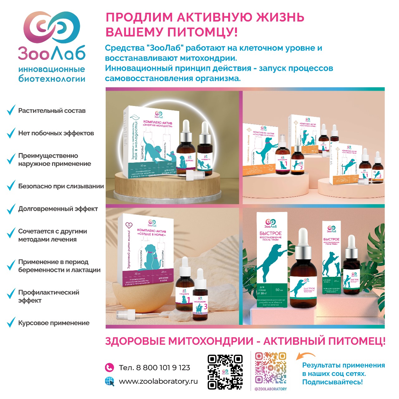 3464de20-7d81-4c40-bd80-6a8d0a799506.jpeg