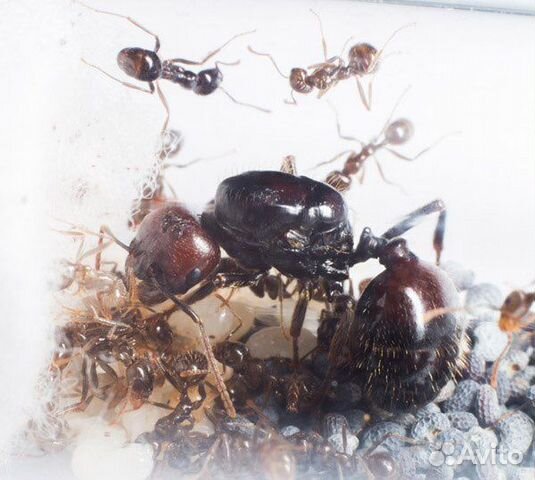 IMG_0018 IMG_0018.jpeg