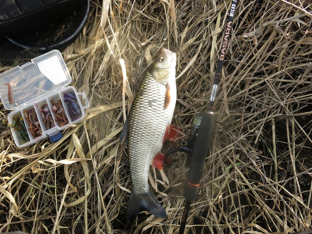 golavl_lovitsja_na_microjig golavl_lovitsja_na_microjig.jpg