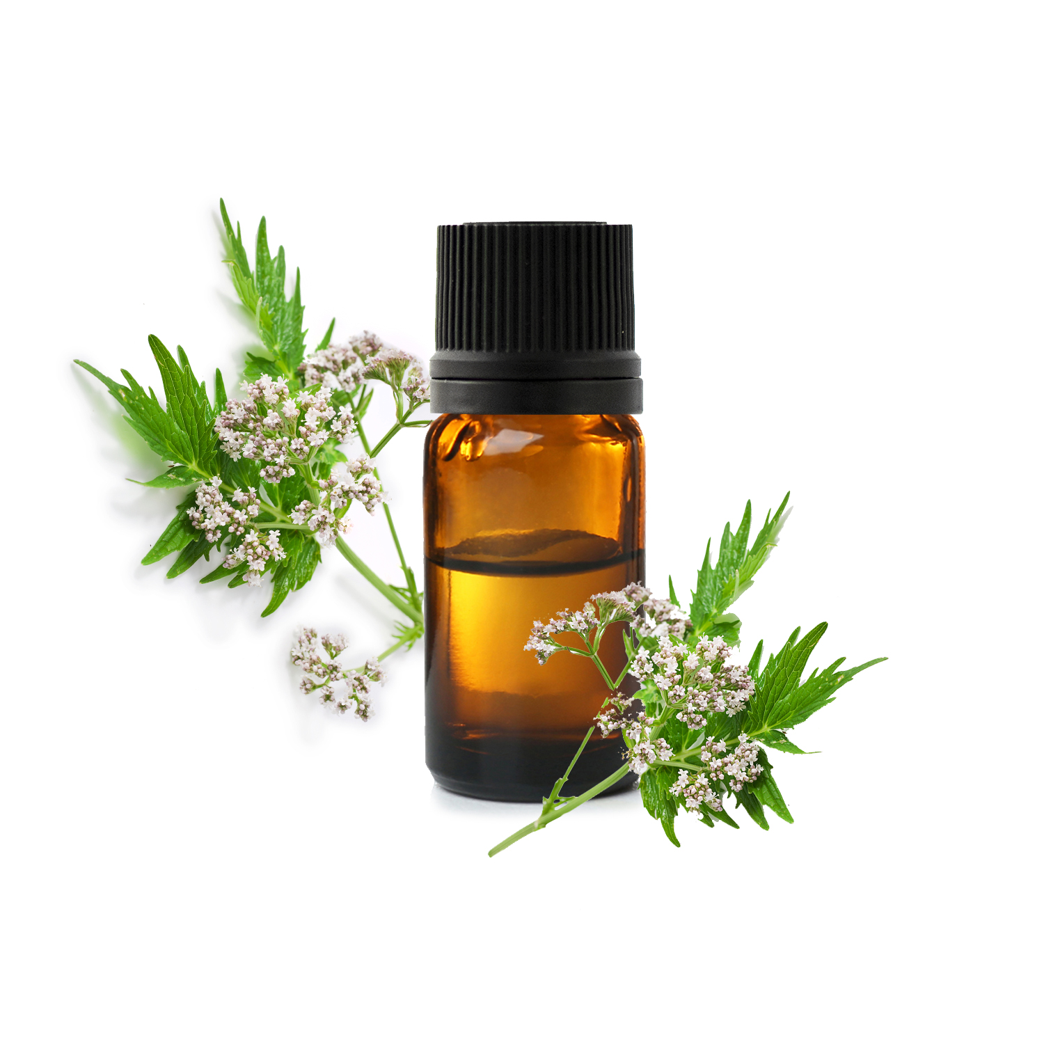 валериана.jfif